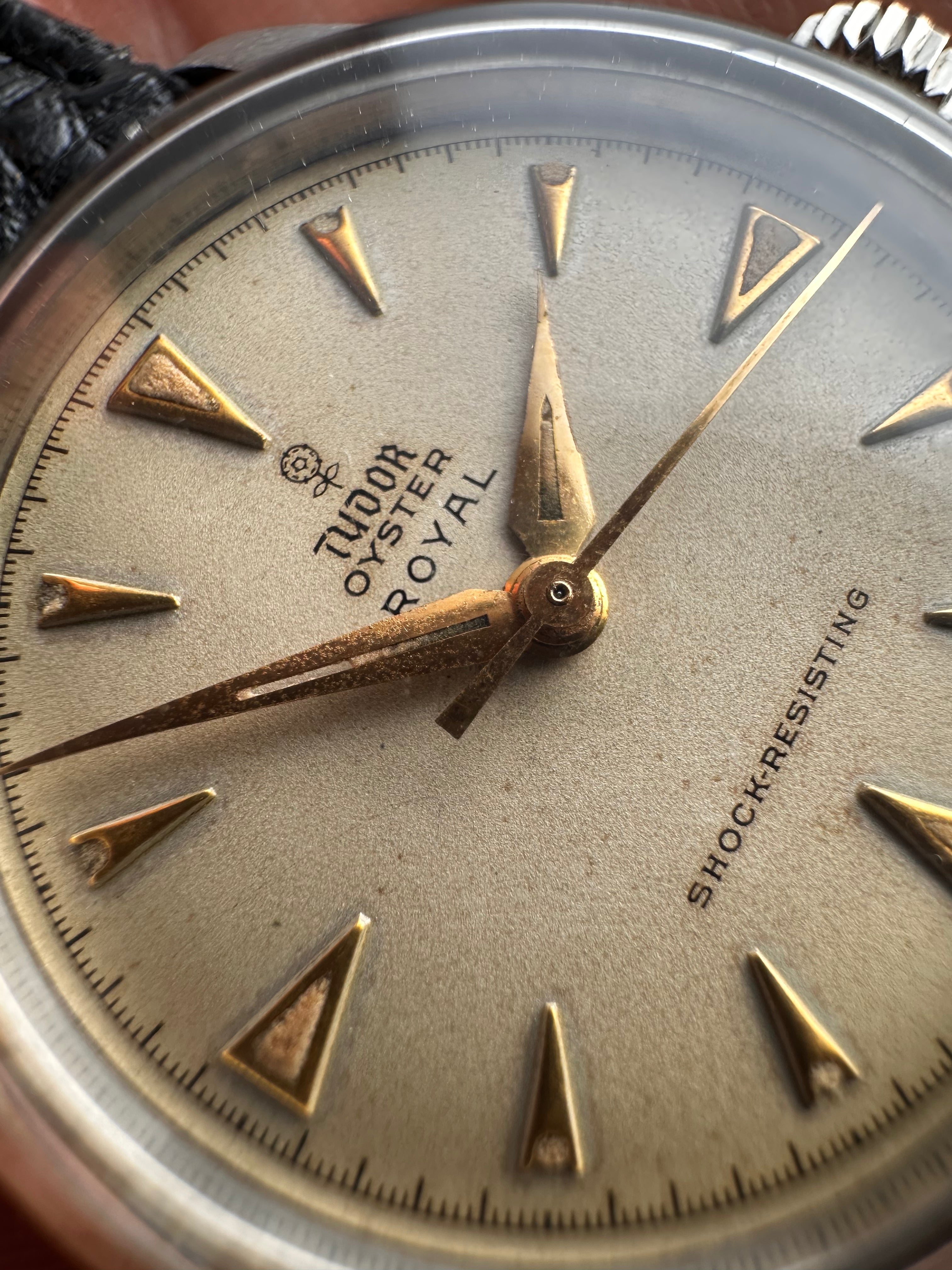 Tudor Oyster Royal 